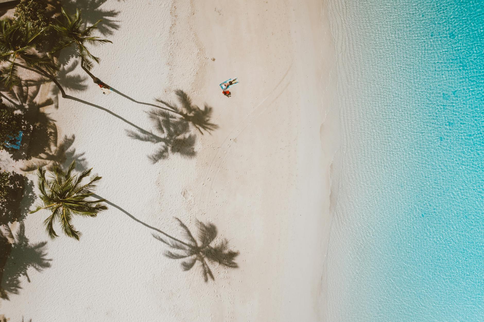 Stunning aerial shot of a sunlit Hawaiian beach with palm tree shadows and turquoise waters