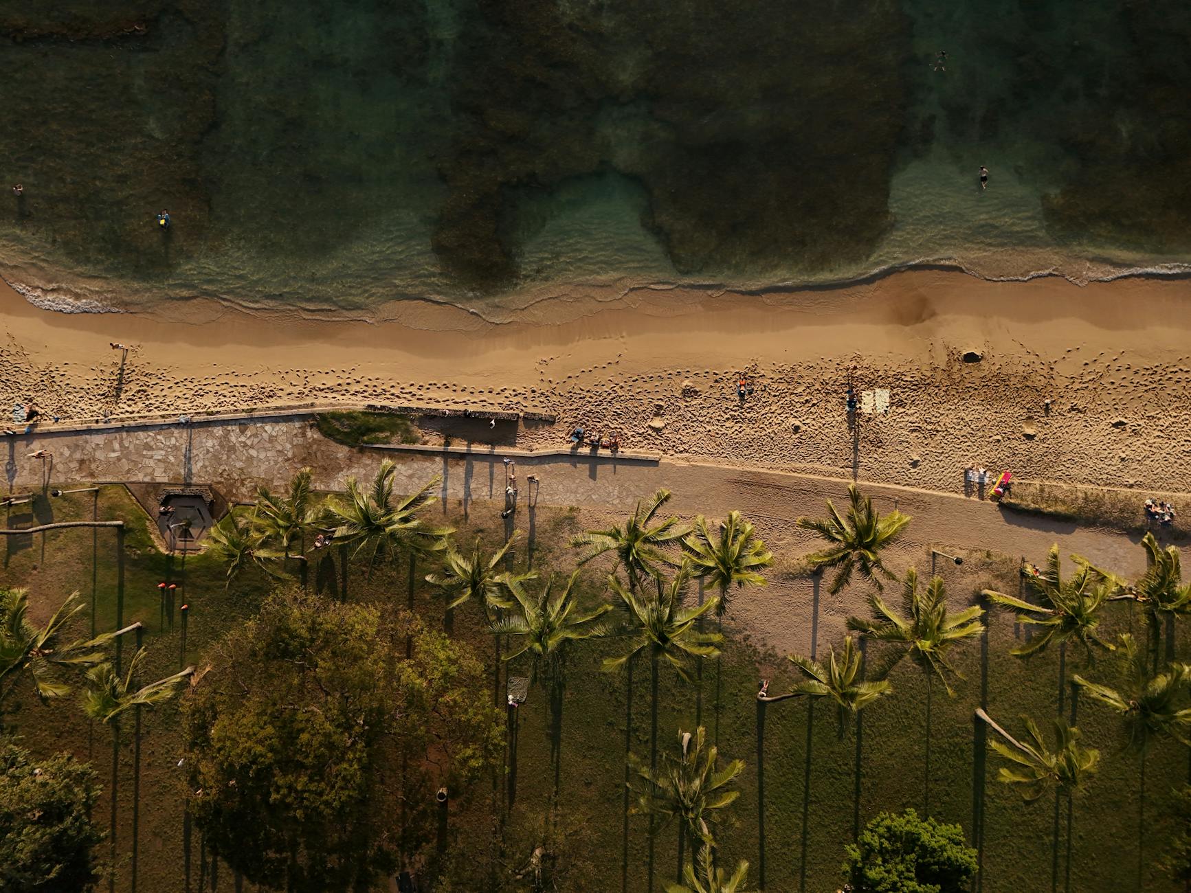 Stunning aerial view of Waikiki Beach in Honolulu Hawaii with palm trees and pristine sand